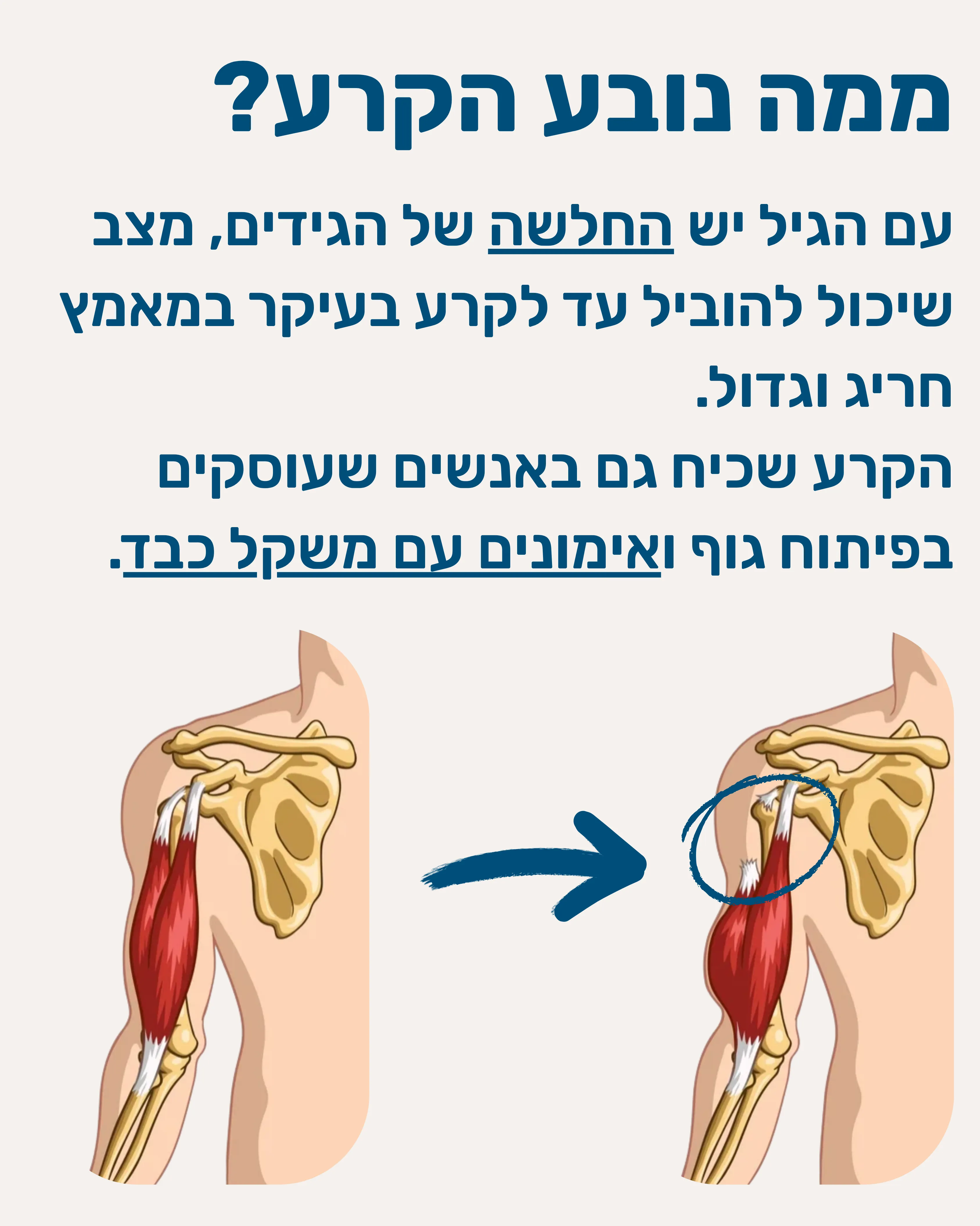 קרע בראש הארוך של השריר הדו ראשי - תמונה 4