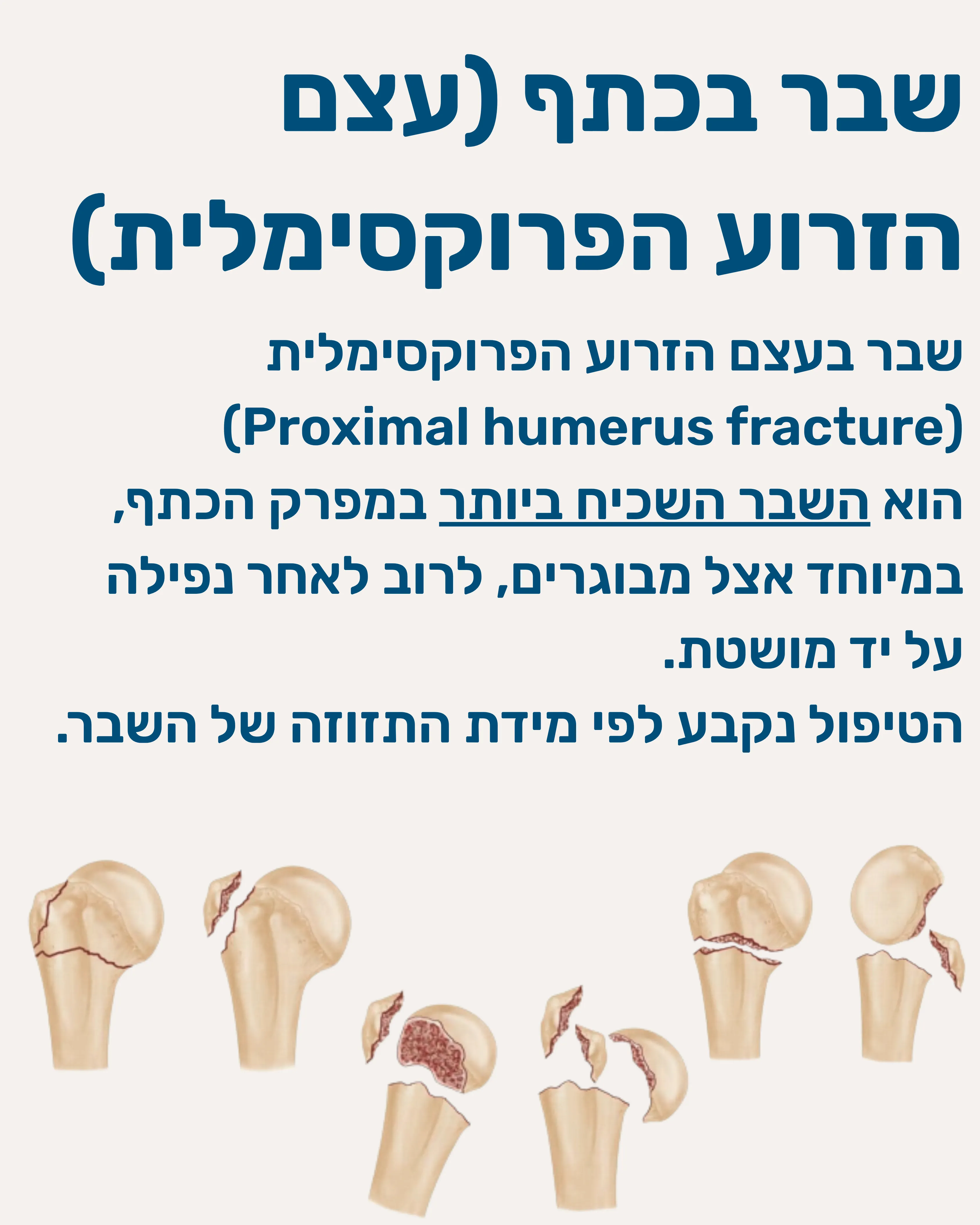 שברים בכתף עצם הזרוע - תמונה 2