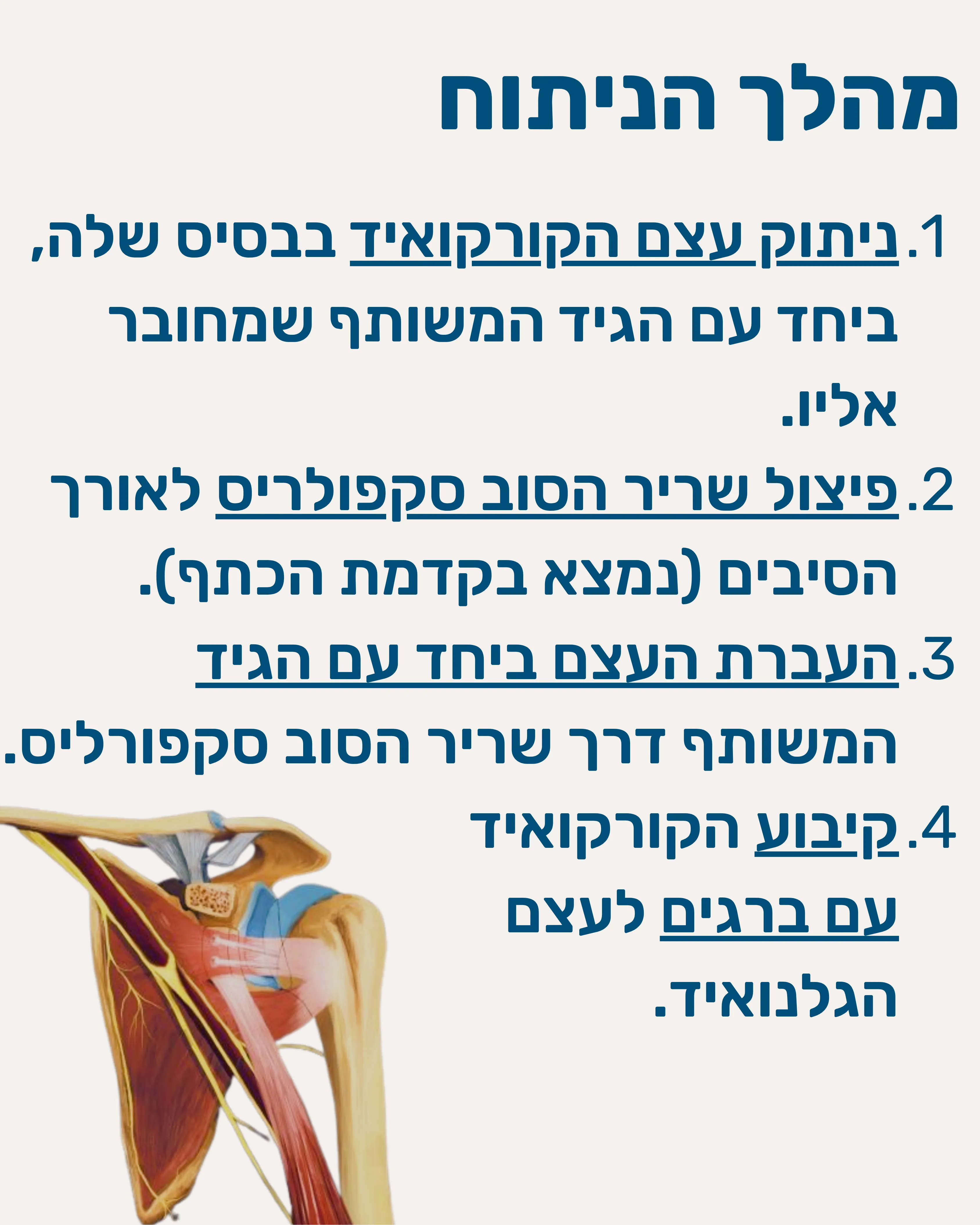 ניתוח לטרזה (Latarjet) - תמונה 8