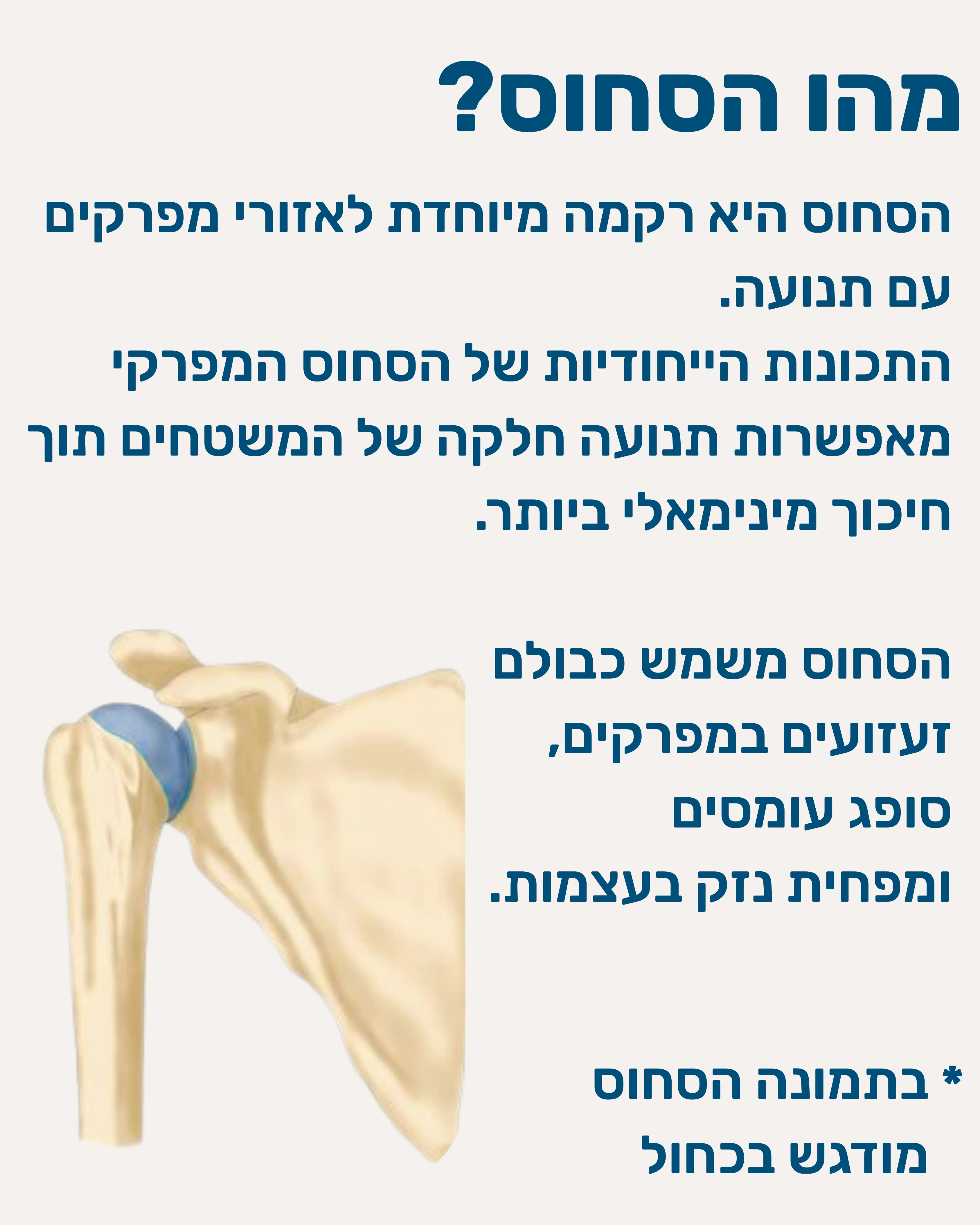 שחיקת סחוס במפרק - תמונה 2