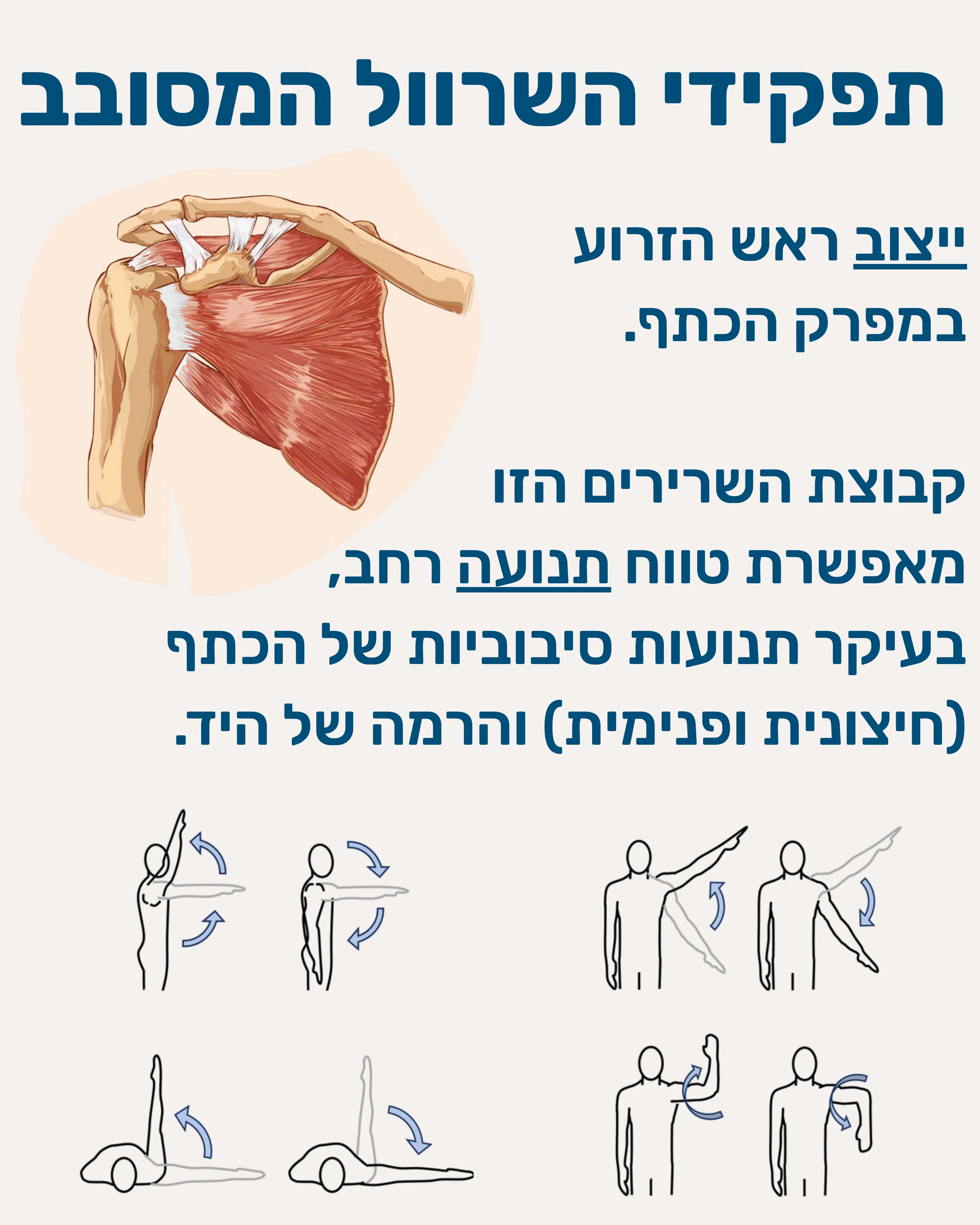 קרעים בשרוול המסובב - תמונה 3