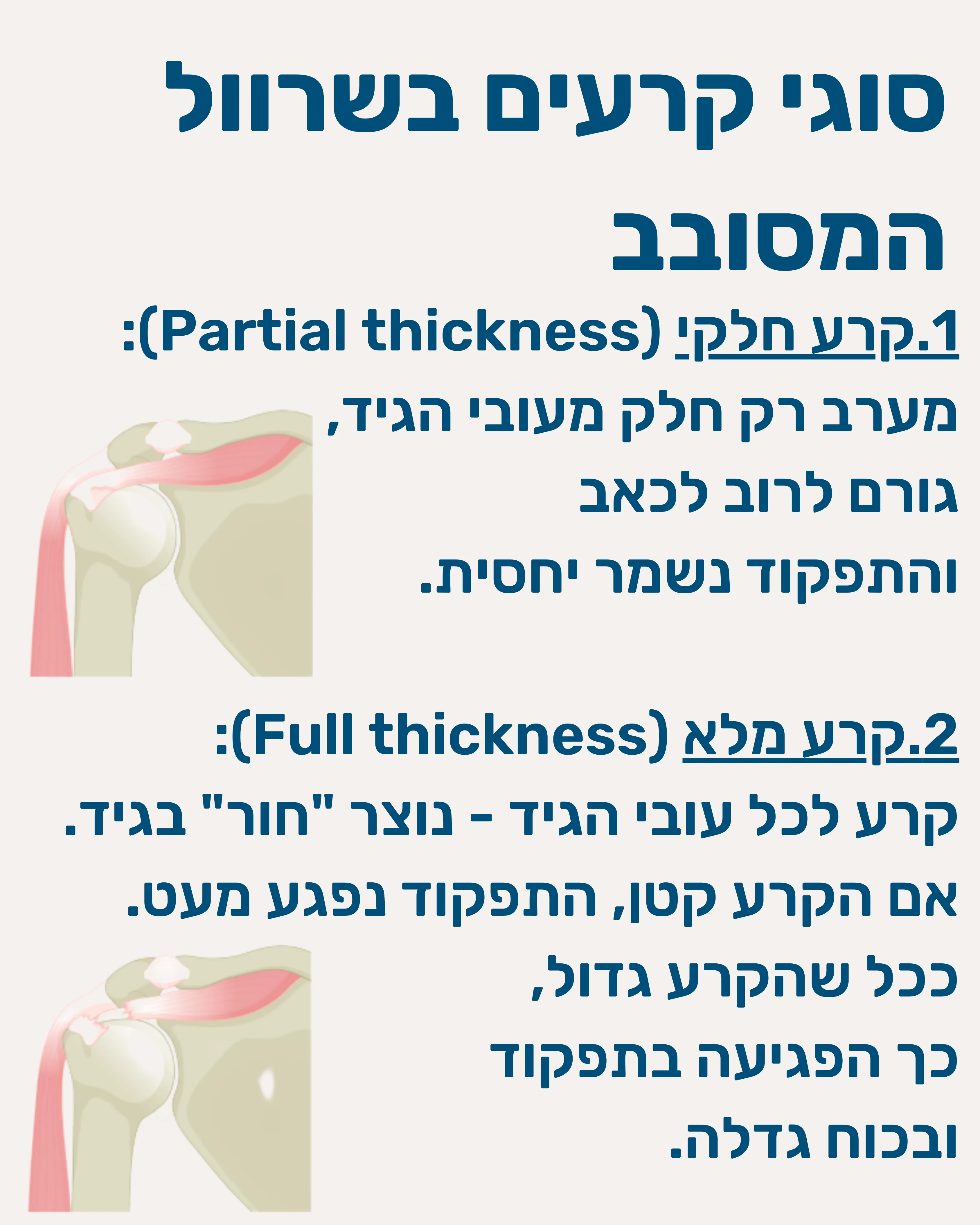 קרעים בשרוול המסובב - תמונה 5