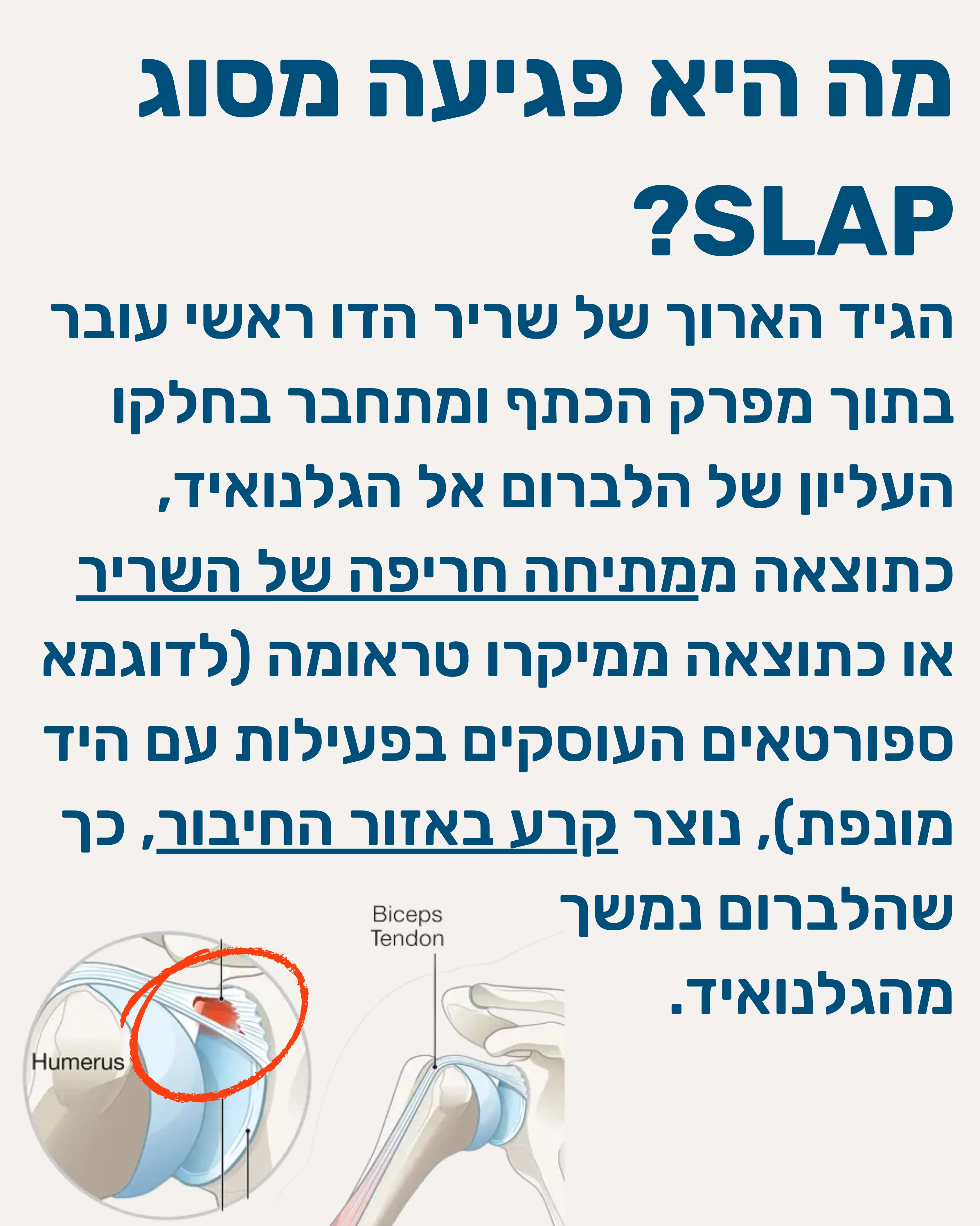 קרע בלברום העליון SLAP - תמונה 2